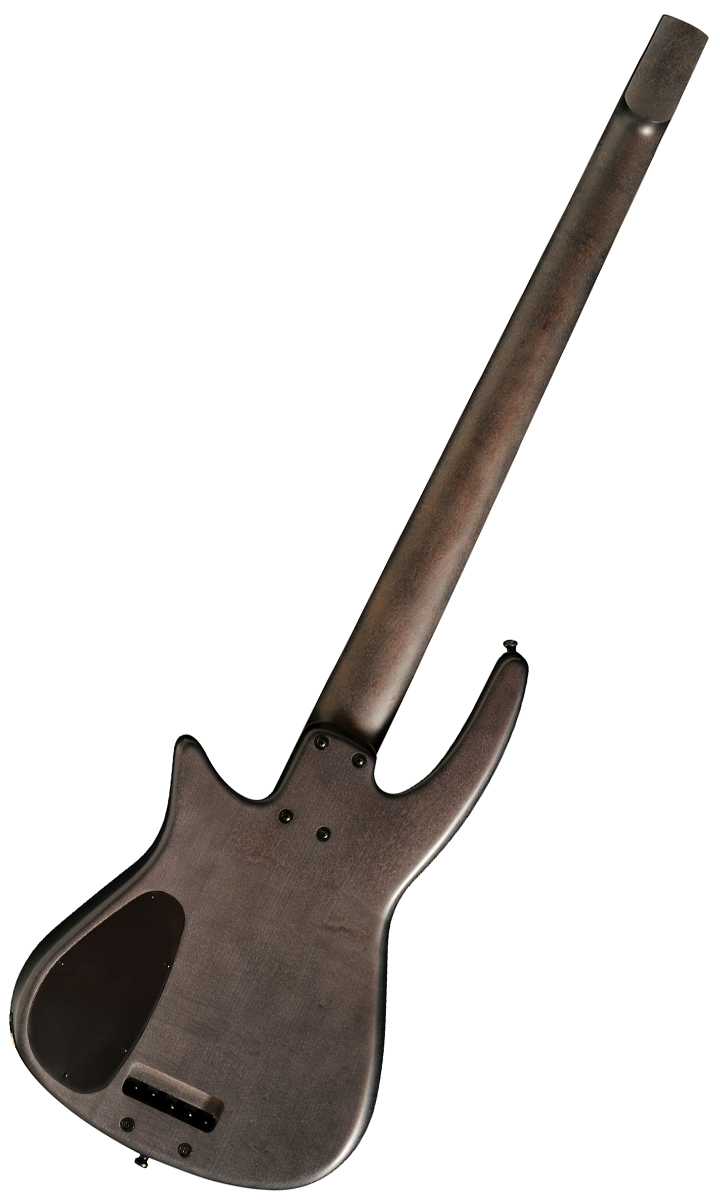 NS Design CR5 Radius Fretless